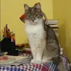 Отзыв от Дина Хомякова